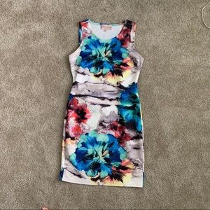 Philosophy sheath dress